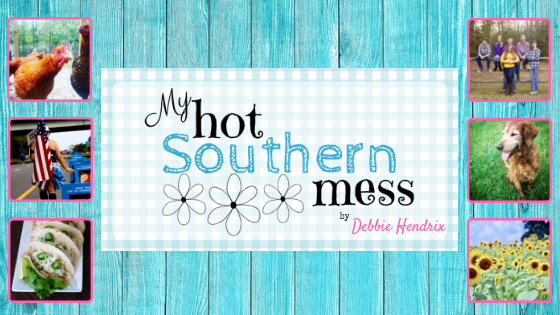My Hot Southern Mess